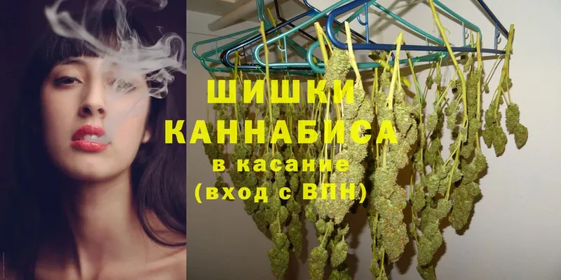 закладки  Костомукша  ссылка на мегу   Конопля гибрид 